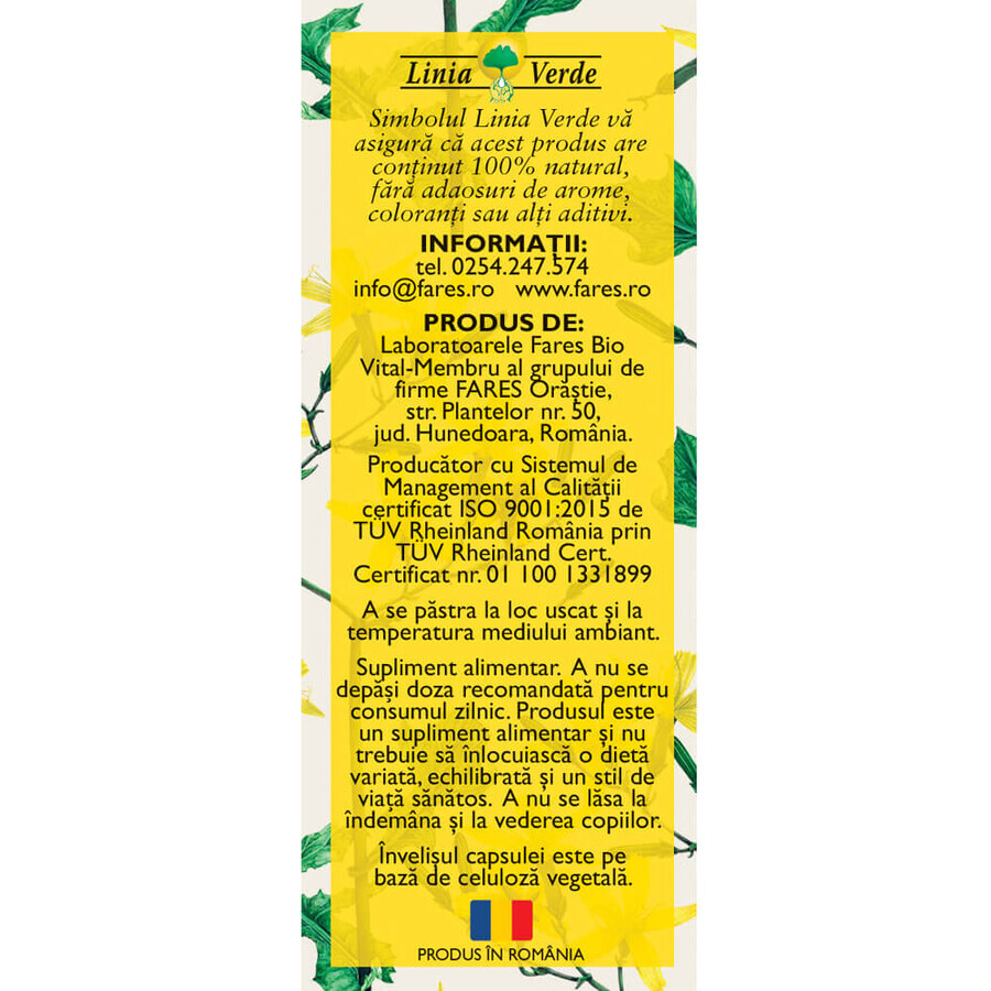 Stomac sănătos, D49, 63 capsules, Fares
