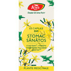 Stomac sănătos, D49, 63 capsules, Fares