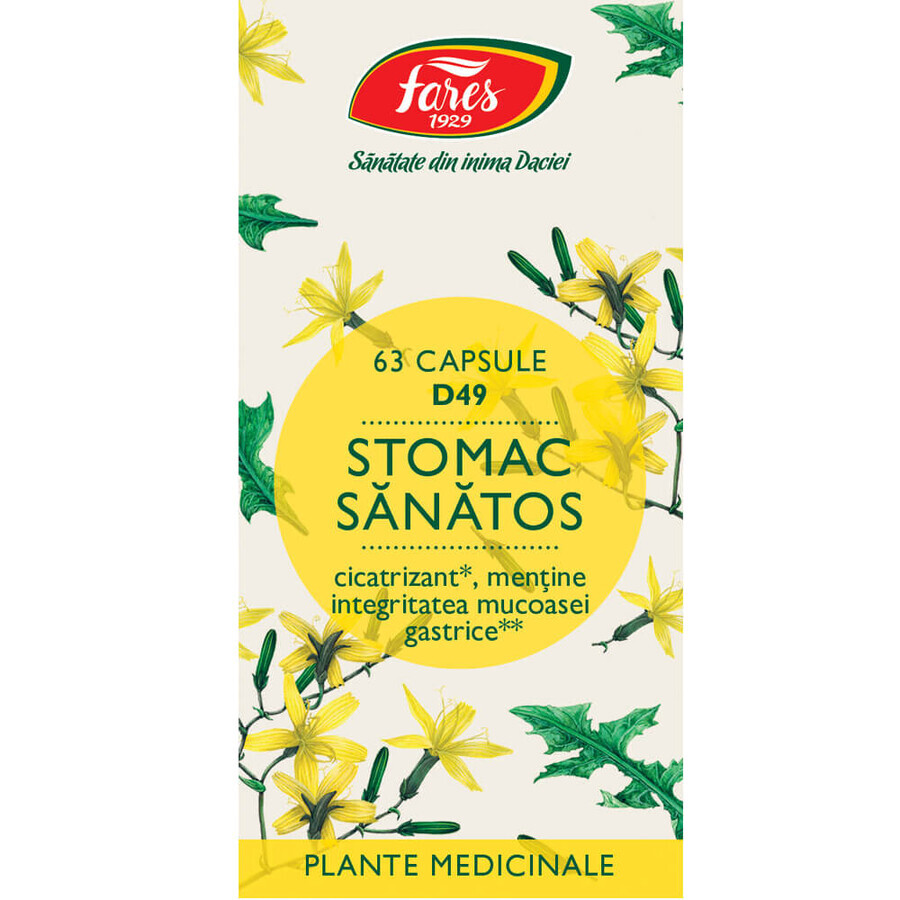 Stomac sănătos, D49, 63 capsules, Fares