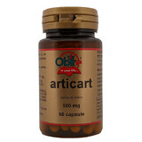 Articart, 60 capsules, Obire