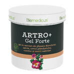 Strong Arthro Gel with devil's claw extract, willow, earth butter, camphor and methyl salicylate, 250 ml, Biomedicus Strong Arthro Gel with devil's claw extract, willow, earth butter, camphor and methyl salicylate, 250 ml, Biomedicus