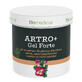 Strong Arthro Gel with devil&#39;s claw extract, willow, earth butter, camphor and methyl salicylate, 250 ml, Biomedicus