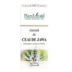 Jawa Tea Tincture, 120 ml, Plant Extrakt Jawa Tea Tincture, 120 ml, Plant Extrakt