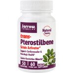 Trans - Pterostilbene 50mg Jarrow Formulas, 60 capsules, Secom Trans - Pterostilbene 50mg Jarrow Formulas, 60 capsules, Secom