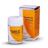 Turmeric 3X articular, 120 capsules, DVR Pharm