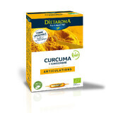 Organic Turmeric and Ginger, 20 phials, Dietaroma