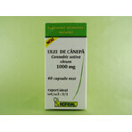 Hennepolie 1000mg, 40 capsules, Hofigal Hennepolie 1000mg, 40 capsules, Hofigal