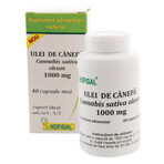 Hennepolie 1000mg, 40 capsules, Hofigal Hennepolie 1000mg, 40 capsules, Hofigal