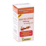 Sea buckthorn oil 900 mg, 40 capsules, Hofigal Sea buckthorn oil 900 mg, 40 capsules, Hofigal