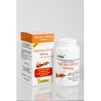 Sea buckthorn oil 900 mg, 40 capsules, Hofigal Sea buckthorn oil 900 mg, 40 capsules, Hofigal