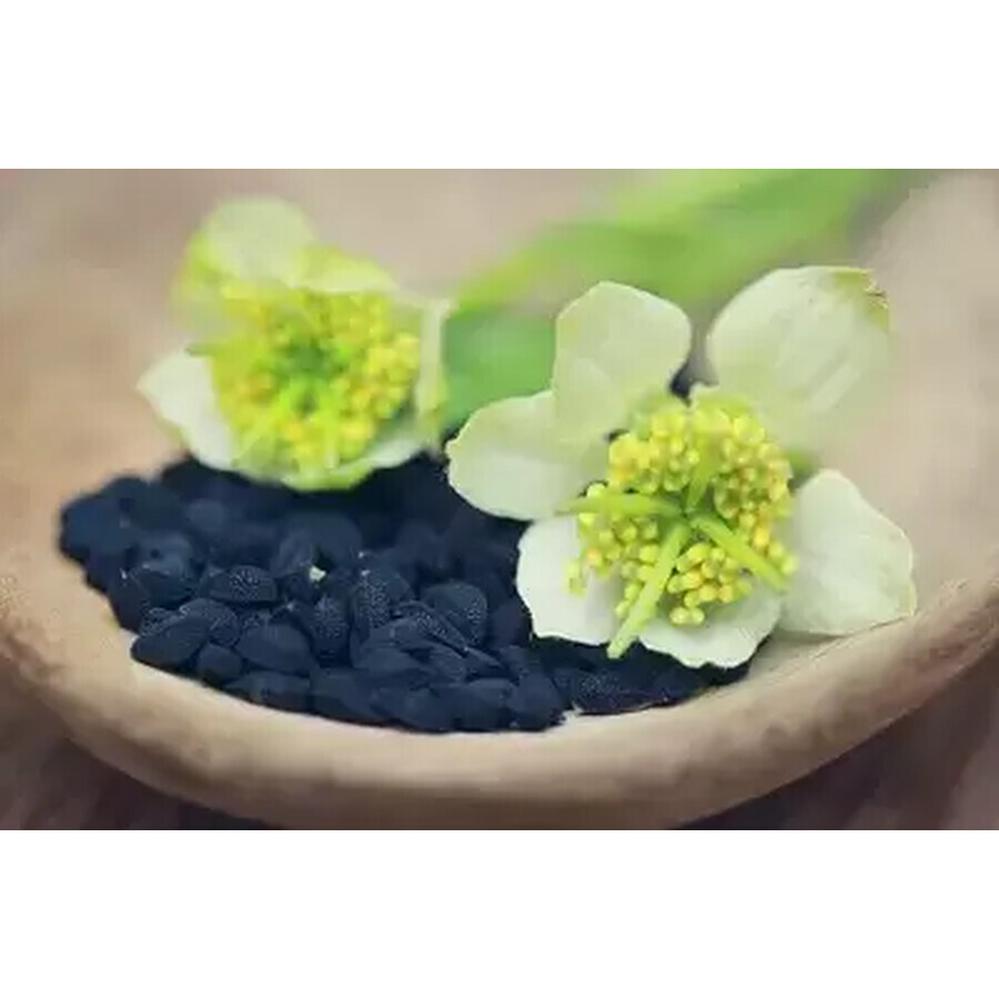 Black Cumin Oil, 30 capsules, Parapharm