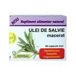 Macerated sage oil 500 mg, 40 capsules, Hofigal Macerated sage oil 500 mg, 40 capsules, Hofigal