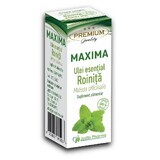Rosemary essential oil, 10 ml, Justin Pharma