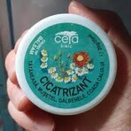 Genezende zalf, 40 g, Ceta Sibiu Genezende zalf, 40 g, Ceta Sibiu