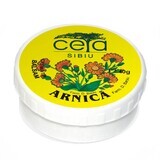 Arnica ointment, 40 g, Ceta Sibiu