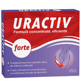 Uractiv forte, 20 capsules, Fiterman Pharma