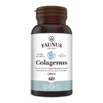 Collagen type 2 for joints, bones, skin and hair Colagenus, 60 capsules, Faunus Plant Collagen type 2 for joints, bones, skin and hair Colagenus, 60 capsules, Faunus Plant