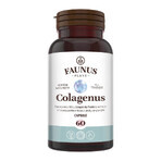 Collagen type 2 for joints, bones, skin and hair Colagenus, 60 capsules, Faunus Plant Collagen type 2 for joints, bones, skin and hair Colagenus, 60 capsules, Faunus Plant