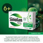 Sinulan Forte 60 tabletek Sinulan Forte 60 tabletek