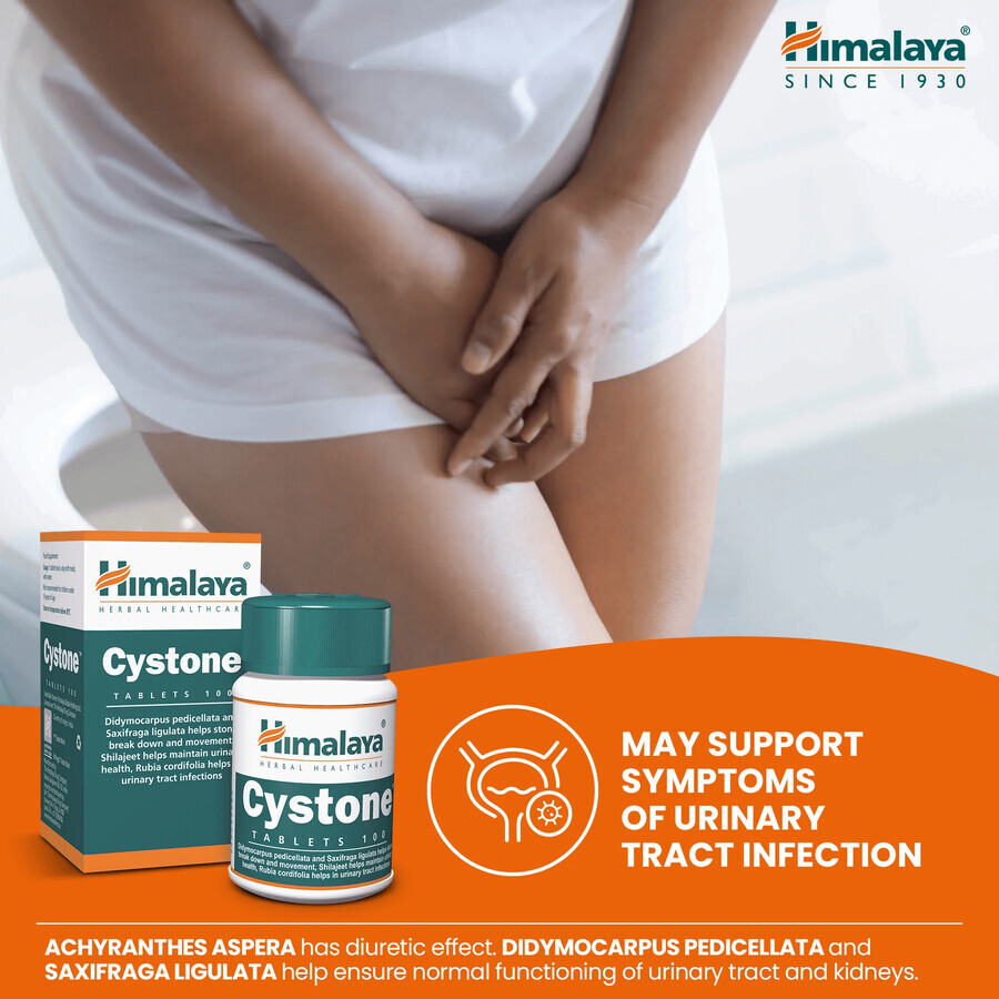 Himalaya Cystone, 100 tablets