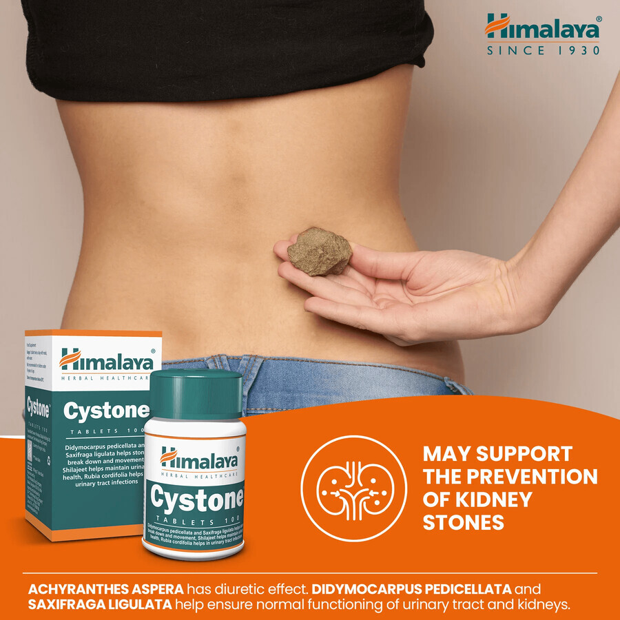 Himalaya Cystone, 100 tablets