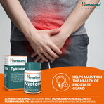 Himalaya Cystone, 100 tablets