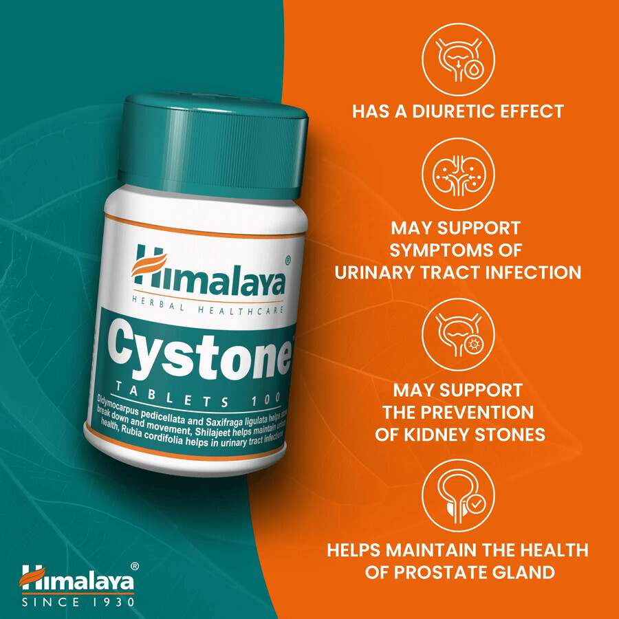 Himalaya Cystone, 100 tablets