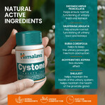 Himalaya Cystone, 100 tablets