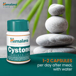 Himalaya Cystone, 100 tablets