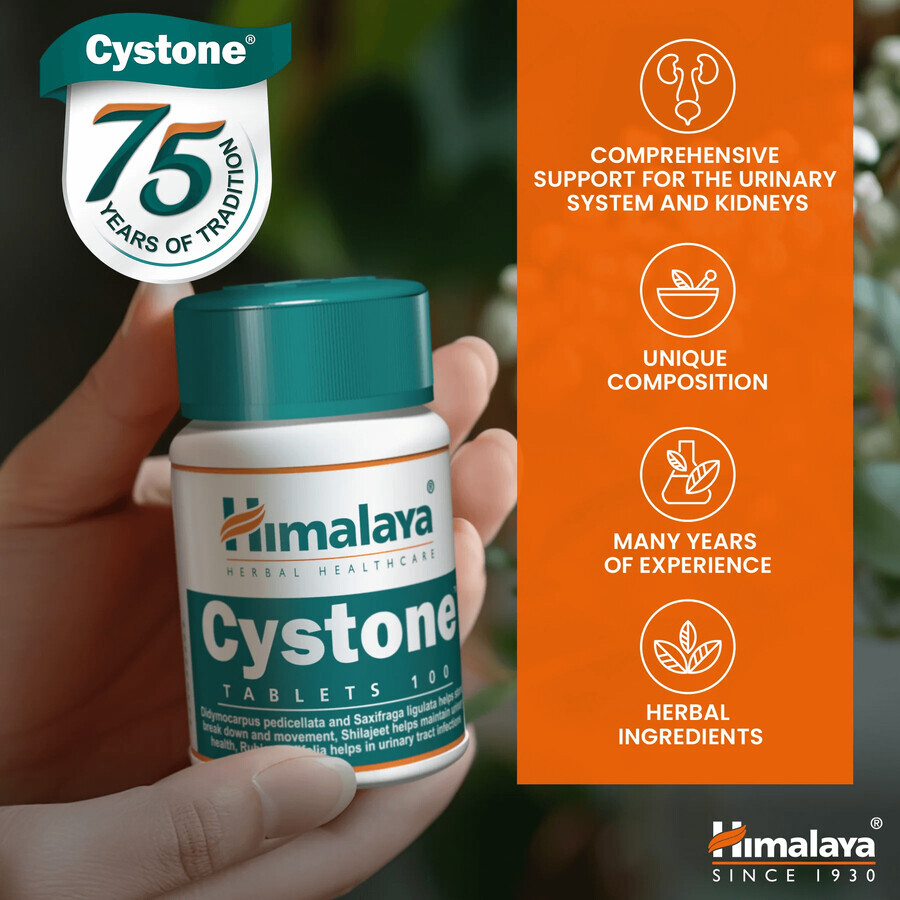 Himalaya Cystone, 100 tablets