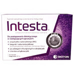 Intesta, 60 capsules Intesta, 60 capsules