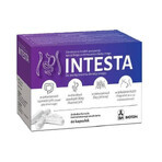 Intesta, 60 capsules