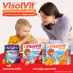 Visolvit Junior Strawberry, for children over 3 years, 30 sachets Visolvit Junior Strawberry, for children over 3 years, 30 sachets