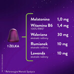 ZzzQuil Natura, jelly candies, 60 pieces ZzzQuil Natura, jelly candies, 60 pieces