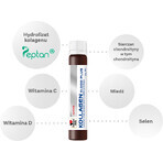 Doppelherz System Kollagen 11.000 Plus, 30 fiale x 25 ml, Queisser Pharma Doppelherz System Kollagen 11.000 Plus, 30 fiale x 25 ml, Queisser Pharma