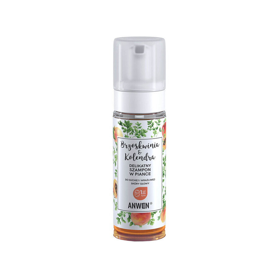 Buy Anwen Peach and Coriander, delicate foam shampoo for dry and sensitive scalp, from 1 month, 170ml Anwen Peach and Coriander, delicate foam shampoo for dry and sensitive scalp, from 1 month, 170ml