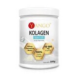 Yango Collagen types I and III, 300 g