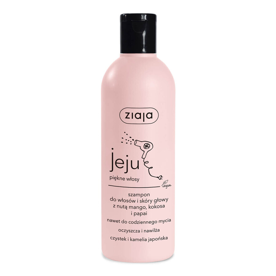 Boutique Ziaja Jeju, shampoing pour cheveux et cuir chevelu, 300 ml Ziaja Jeju, shampoing pour cheveux et cuir chevelu, 300 ml