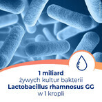 Dicoflor Baby Tropfen, 5 ml, Bayer Dicoflor Baby Tropfen, 5 ml, Bayer