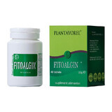 Phytoalgin, 40 tablets, Plantavorel