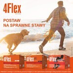 4Flex, 30 sachets, Valeant 4Flex, 30 sachets, Valeant