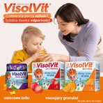 VisolVit Junior Orange, effervescent powder, orange flavor, 30 sachets VisolVit Junior Orange, effervescent powder, orange flavor, 30 sachets