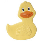 Canpol, bath toys set, Colorful Ocean, from birth, 5 pieces Canpol, bath toys set, Colorful Ocean, from birth, 5 pieces