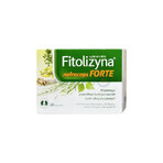 Phytolysin Nefrocaps Forte, 30 capsules Phytolysin Nefrocaps Forte, 30 capsules