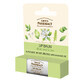Green Pharmacy, lip balm, aloe vera and lime, intensely moisturizing, SPF 10, 3.6 g