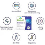 Naturell Rhodiola + B, 60 tablets Naturell Rhodiola + B, 60 tablets