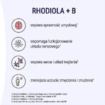 Naturell Rhodiola + B, 60 tablets Naturell Rhodiola + B, 60 tablets