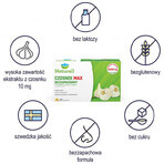 Naturell Garlic Max unscented, 90 capsules Naturell Garlic Max unscented, 90 capsules
