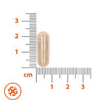 SEMA Lab Hair, skin, nails, 60 cellulose capsules SEMA Lab Hair, skin, nails, 60 cellulose capsules