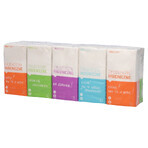 SEMA Protect, 3-ply tissue, 10 x 10 pcs.